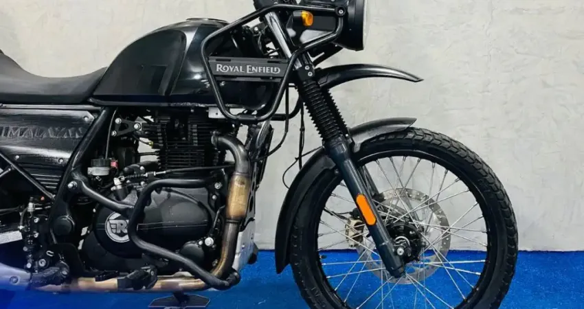 HIMALAYAN