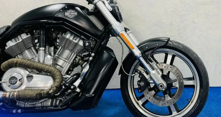 V-ROD MUSCLE