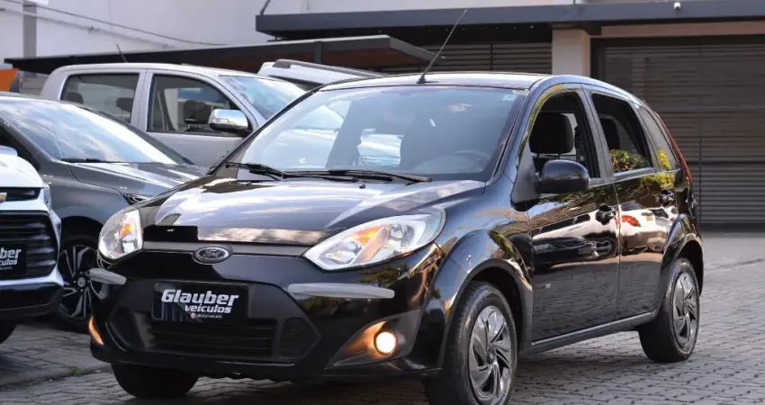FIESTA HATCH 1.0 , 2014,  