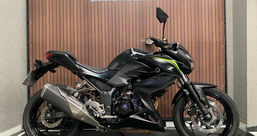 KAWASAKI Z300