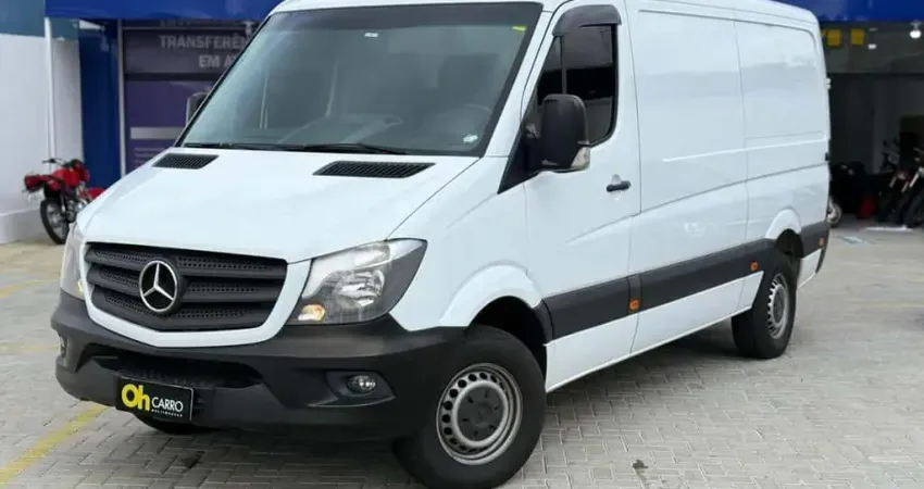 MERCEDES-BENZ SPRINTER 313 CDI  2019