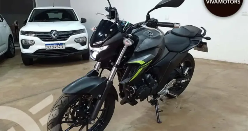 Yamaha Fz25 250 fazer flex 2024