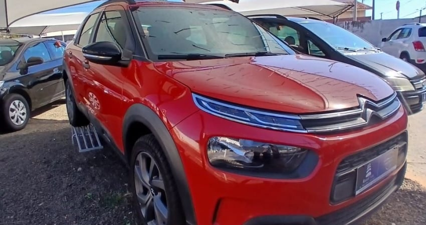 C4 CACTUS 