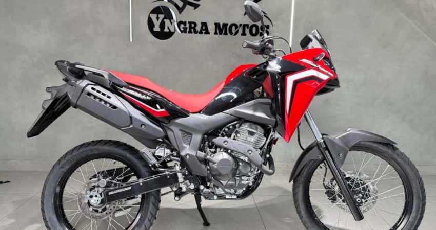 HONDA SAHARA 300 RALLY ABS FLEX