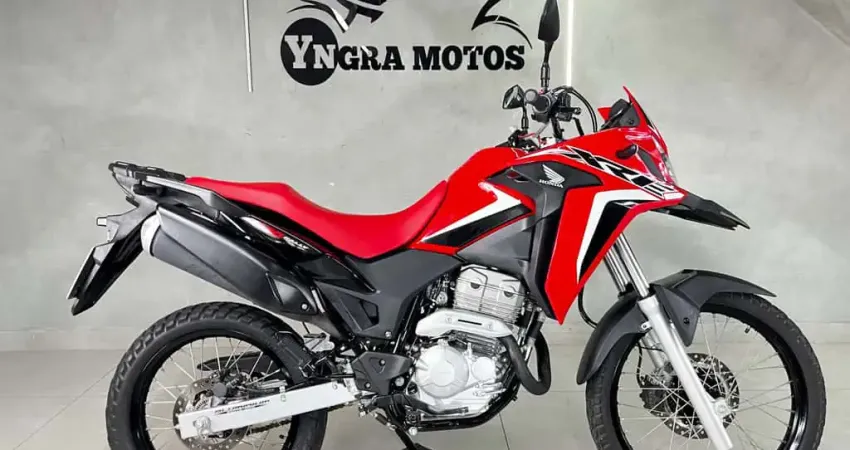 HONDA XRE 300 RALLY FLEX