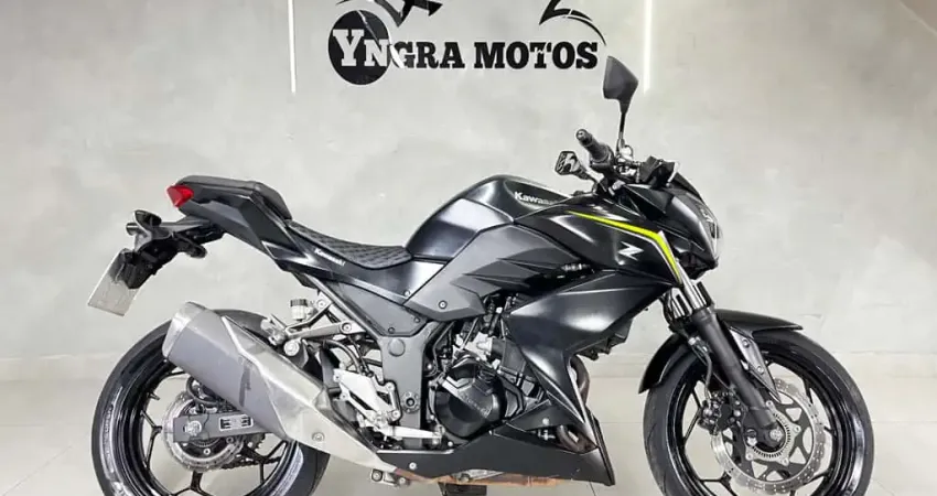 KAWASAKI Z 300