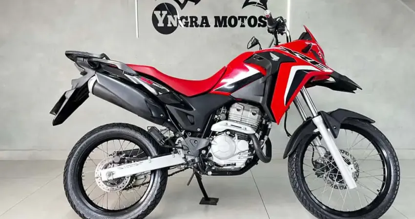HONDA XRE 300 RALLY FLEX