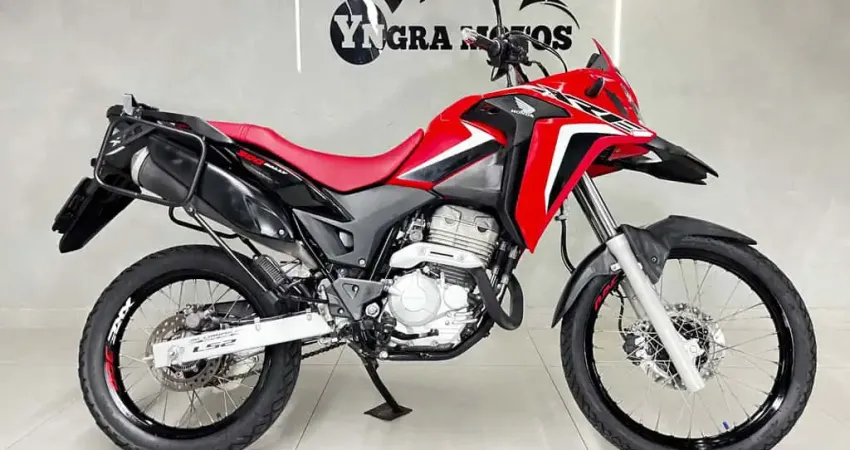 HONDA XRE 300 RALLY FLEX