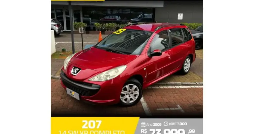 Peugeot 207 2009 1.4 xr sw 8v flex 4p manual