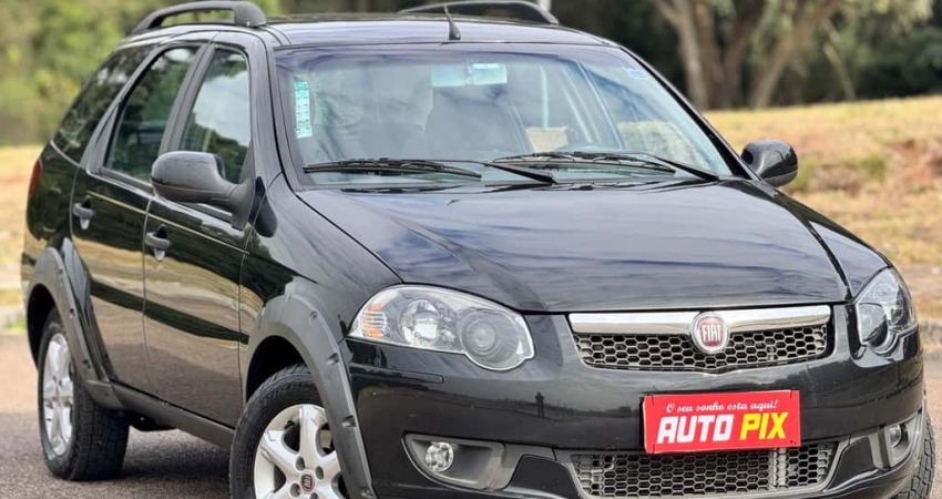 FIAT PALIO WK TREKK 1.6 2013