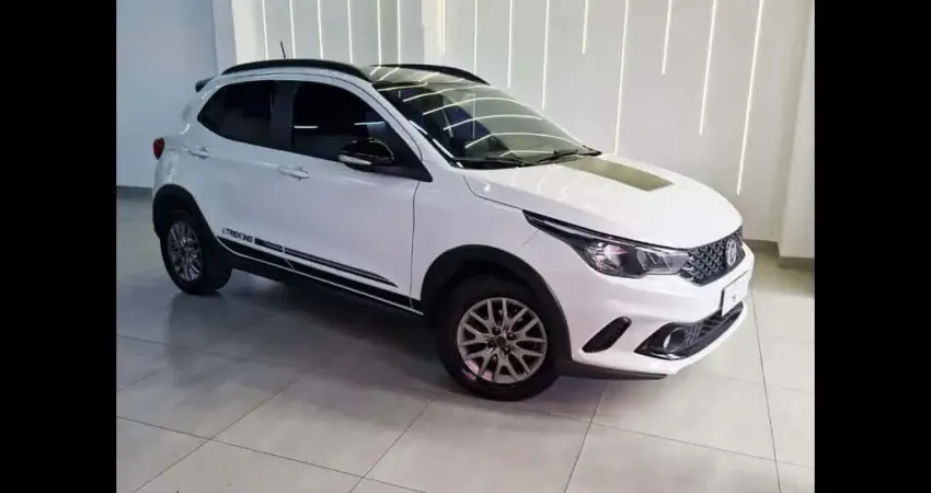 ARGO TREKKING 1.3 8V Flex