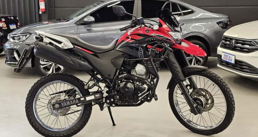 XTZ 250 LANDER 249cc/LANDER BLUEFLEX/ABS