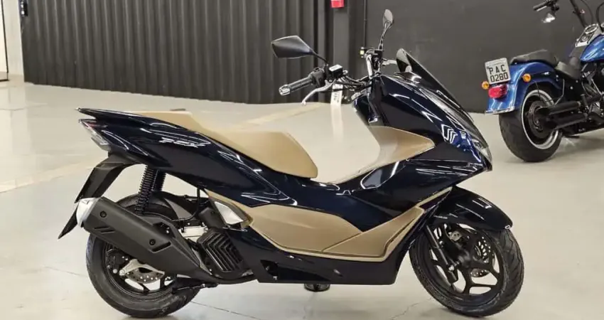 PCX 160 DLX