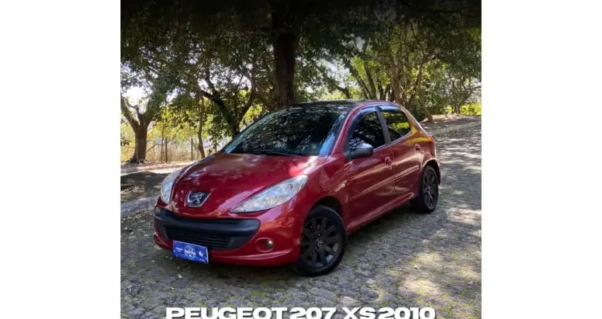 Peugeot 207 2010 1.6 xs 16v flex 4p manual