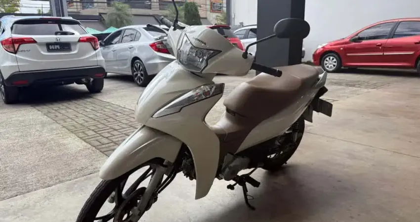 Honda BIZ  Flex Manual