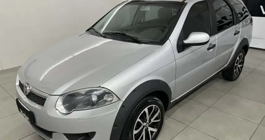 Fiat PALIO 1.6 TREKKING WEEKEND 16V FLEX 4P MANUAL