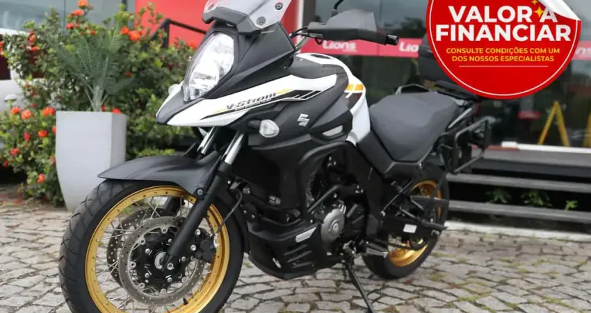 SUZUKI DL 650 V-STROM