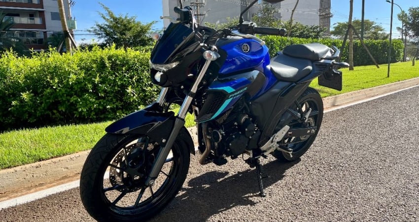 Fazer 250 2024 - 8.000km