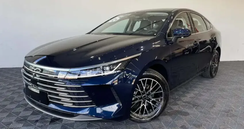 BYD KING GS 1.5 16V Aut. (Hibrido)