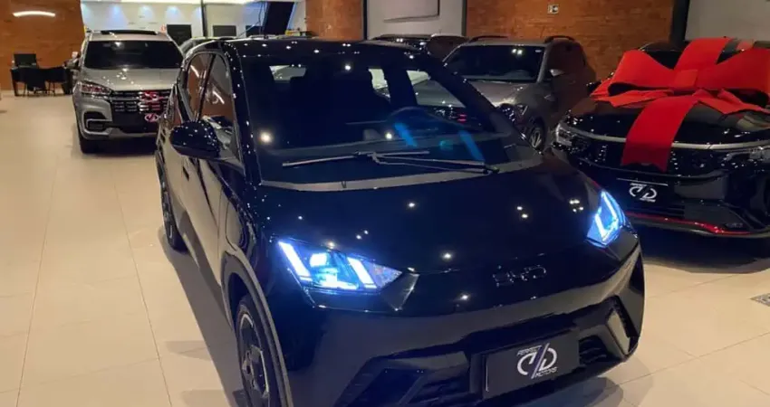 Byd Dolphin mini 2025 Gs ev