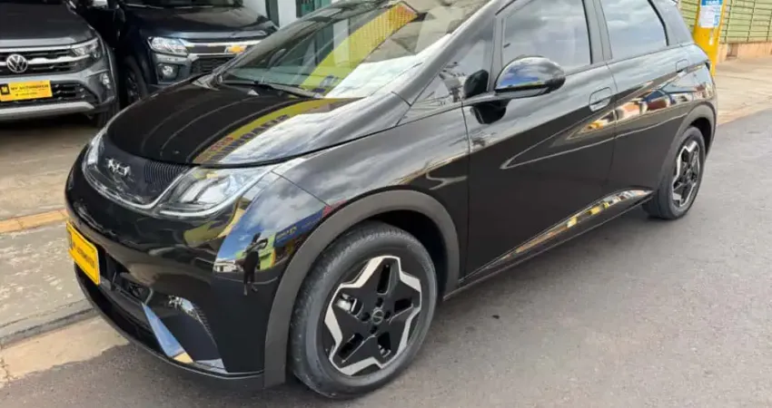 BYD DOLPHIN 44,9 KW ELÉTRICO