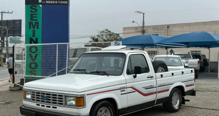 D20 CUSTOM 4.0 1991