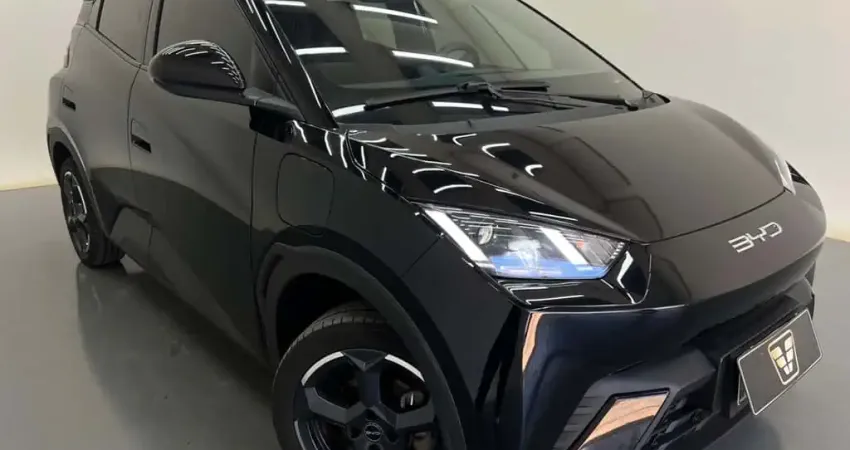 BYD DOLPHIN MINI GS EV 2025