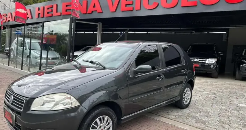 Fiat Palio ELX FLEX - Cinza - 2007/2008