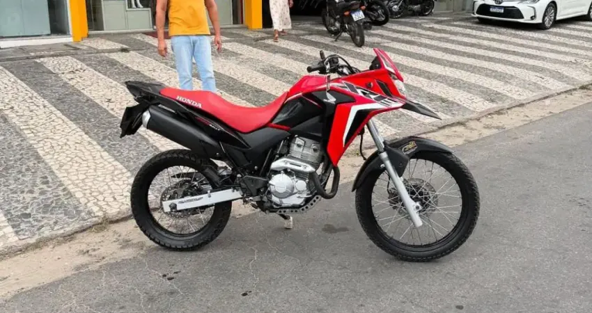 XRE 300 RALLY  2019 