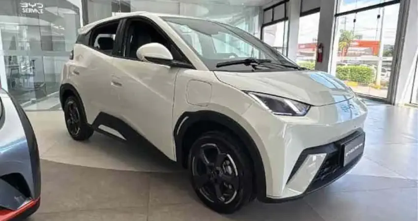 Byd Dolphin mini 2026 38 km elétrico