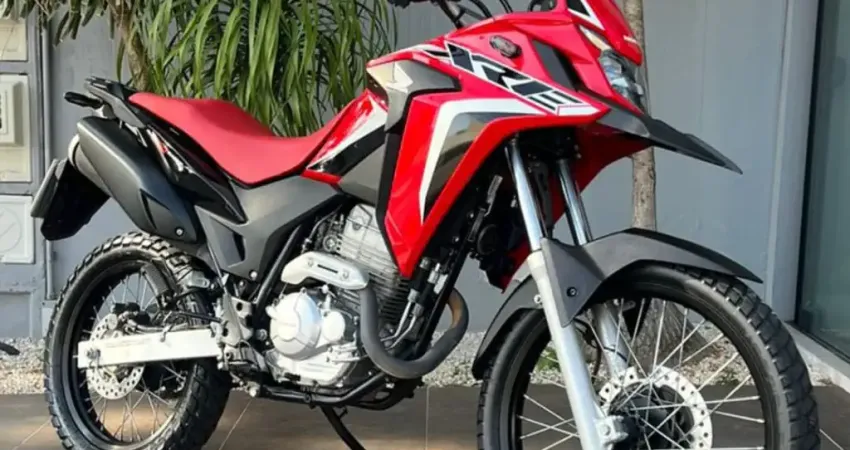 HONDA XRE 300 RALLY