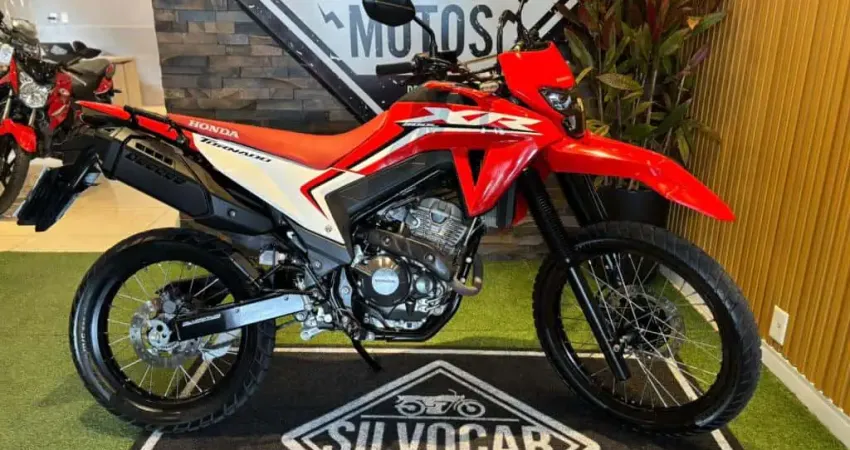 XR 300L TORNADO FLEX