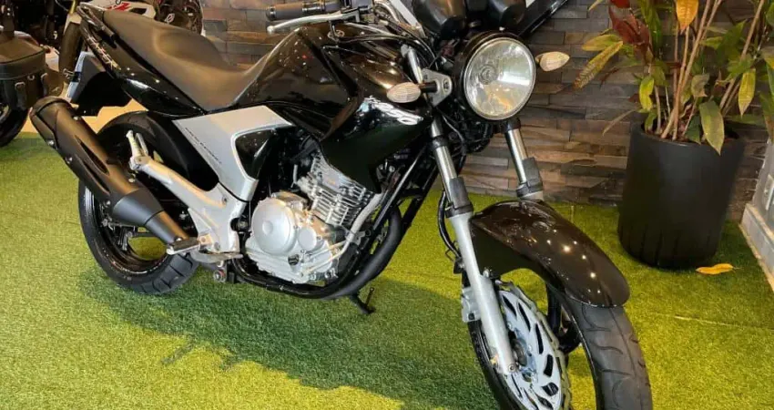 YS 250 FAZER/ FAZER L. EDITION /BLUEFLEX