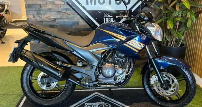 YS 250 FAZER/ FAZER L. EDITION /BLUEFLEX