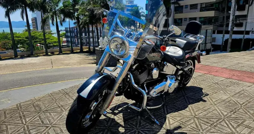 HARLEY-DAVIDSON FAT BOY FLSTF 2010