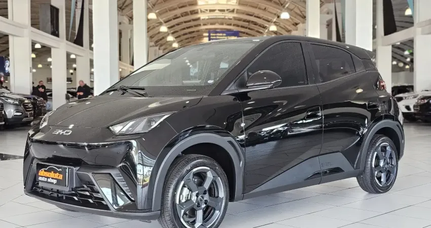 BYD DOLPHIN MINI GS EV 2025,a porta de entrada ideal para a mobilidade elétrica, combinando a susten