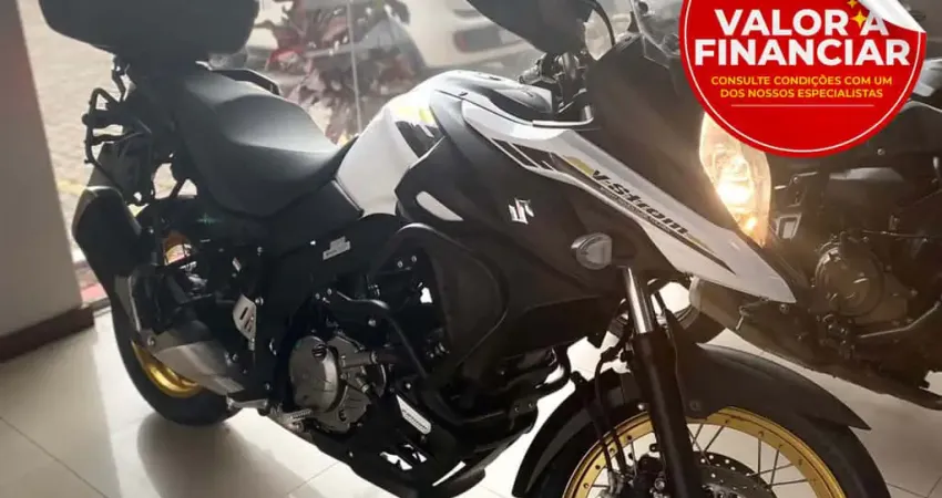 SUZUKI DL 650 V-STROM