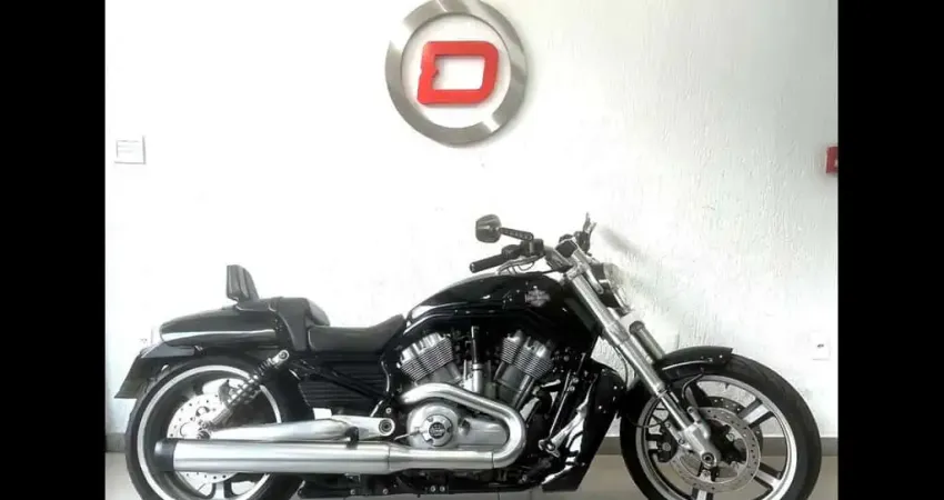 V-ROD 1250cc MUSCLE VRSCF