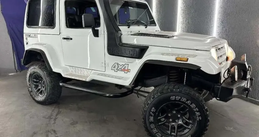 TROLLER T4 TDI 2001