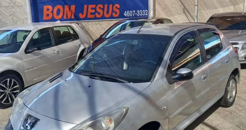 Peugeot 207 1.4 Xr 8V Flex 4P Manual