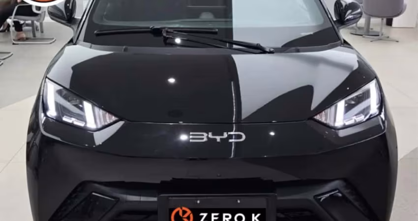 Byd Dolphin mini 2025 38 kw elétrico 5l
