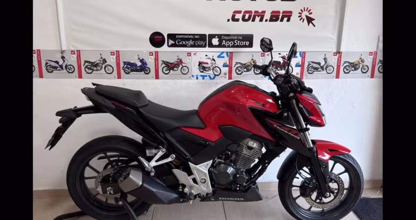 HONDA CB 300F Twister Flex 2023 Flex