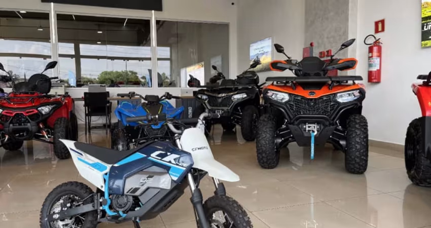 Cfmoto Cforce CX2E