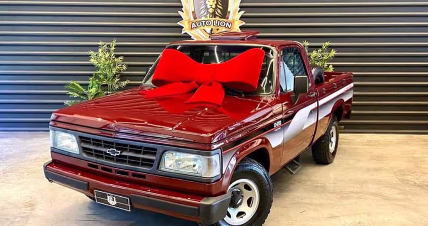 CHEVROLET D20 CUSTOM DE LUXE 1994
