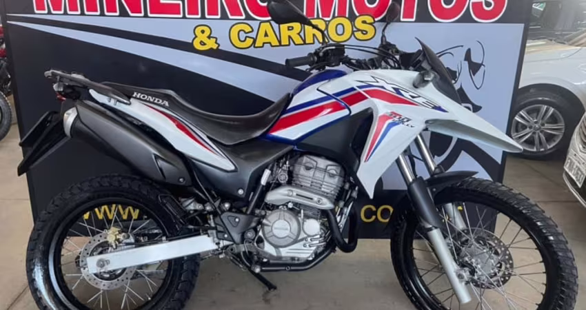 Honda Xre 300 RALLY