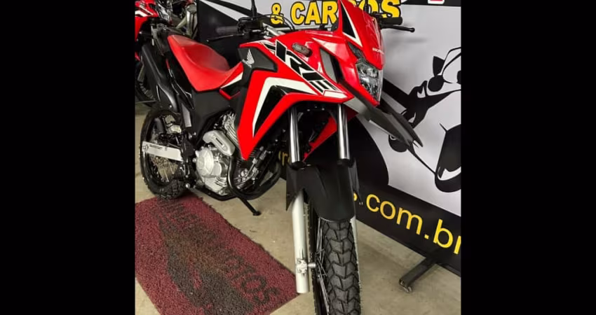 Honda Xre 300 RALLY ABS