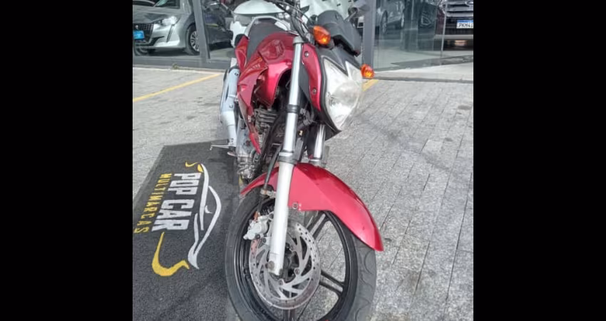 YS 250 FAZER/ FAZER L. EDITION /BLUEFLEX