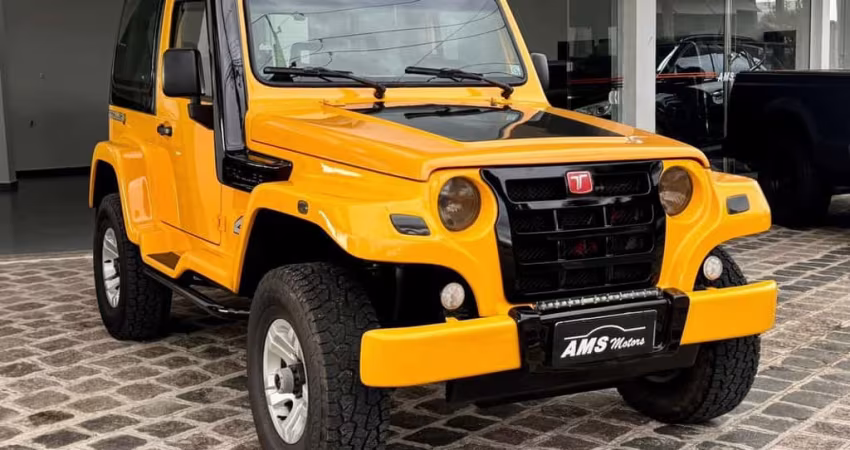 TROLLER T4 TGV 4X4  2013