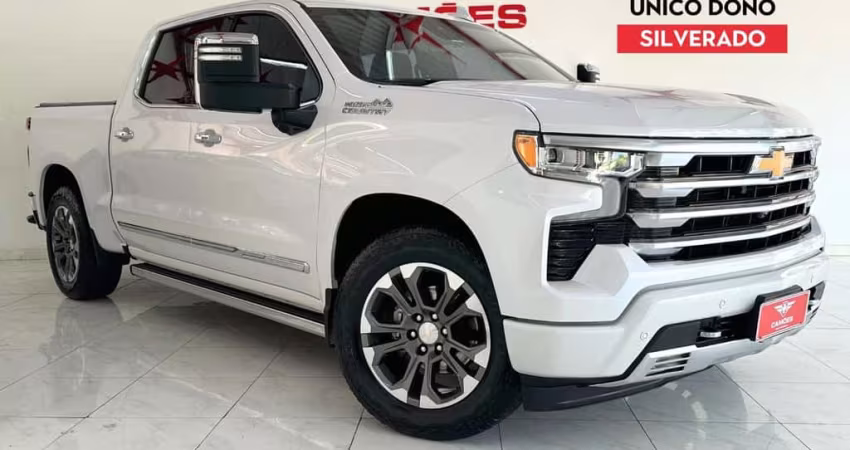 CHEVROLET SILVERADO HC 2024