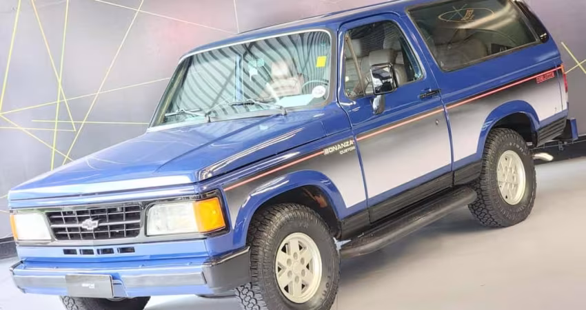 CHEVROLET BONANZA CUSTOM DELUXE 1993